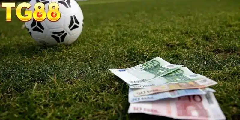 Câu hỏi hay thấy ở newbie