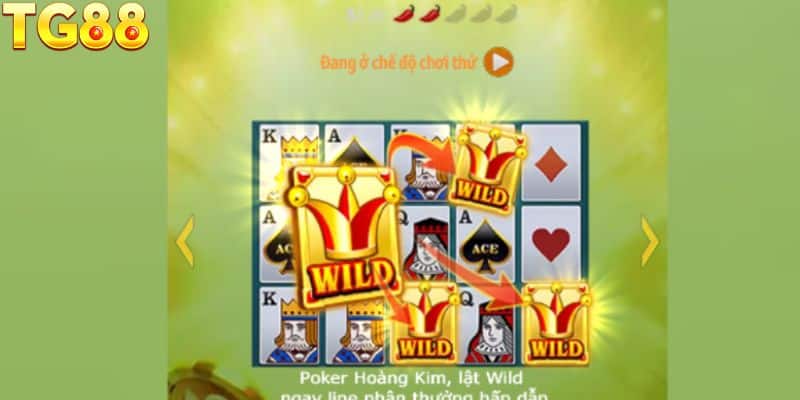 Thông tin cơ bản của trò chơi