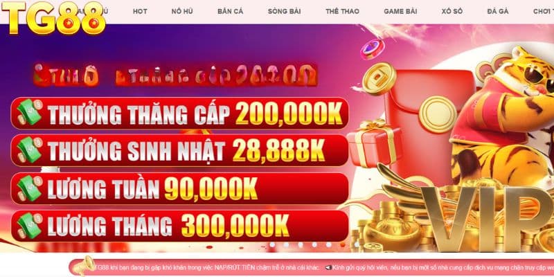 Yêu cầu quan trọng giúp bạn tham gia khuyến mãi Tg88